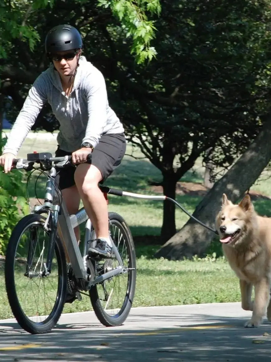 Bicycle Walking Dog Leash, Dog Leash, Removable Elastic Dog Bicycle Leash, Metal Leash, Cycling Liugo