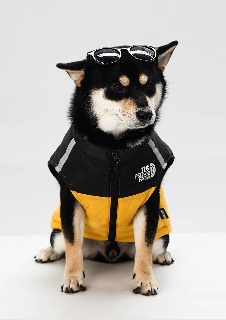 Medium and large dog clothes in autumn and winter, keep warm and thick dog cotton-padded clothes can pull pet clothing