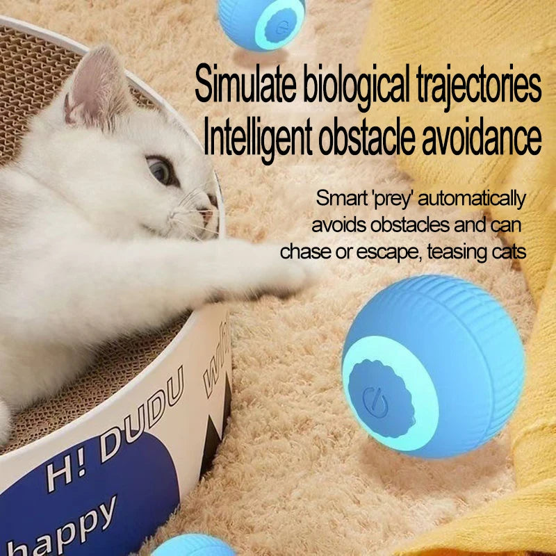New Interactive Cat Ball Automatic Indoor Cat Toy Electric Roll Ball Cat Games MWJ01