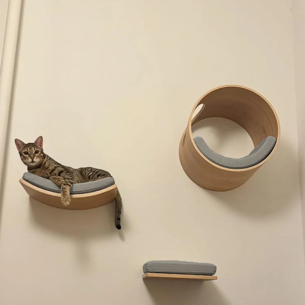 Cat Climbing Shelves Wall Mounted Cat Tree Tower Scratching Posts Hammock Hiding House Perches Ladder Cats Gym Pet Supplies Toy