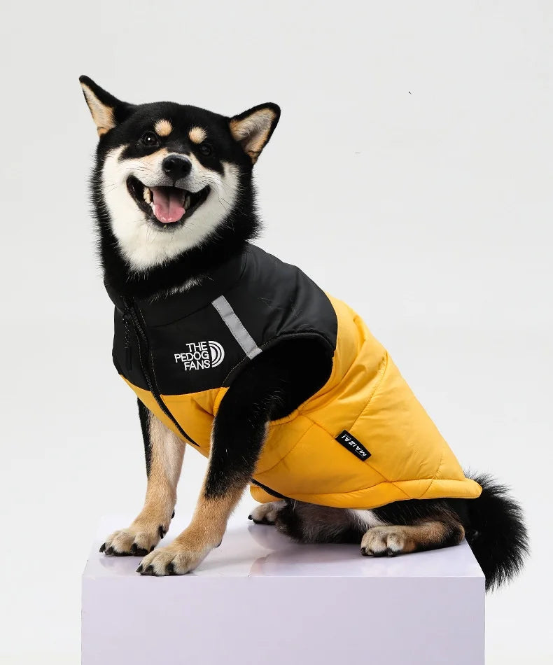 Medium and large dog clothes in autumn and winter, keep warm and thick dog cotton-padded clothes can pull pet clothing