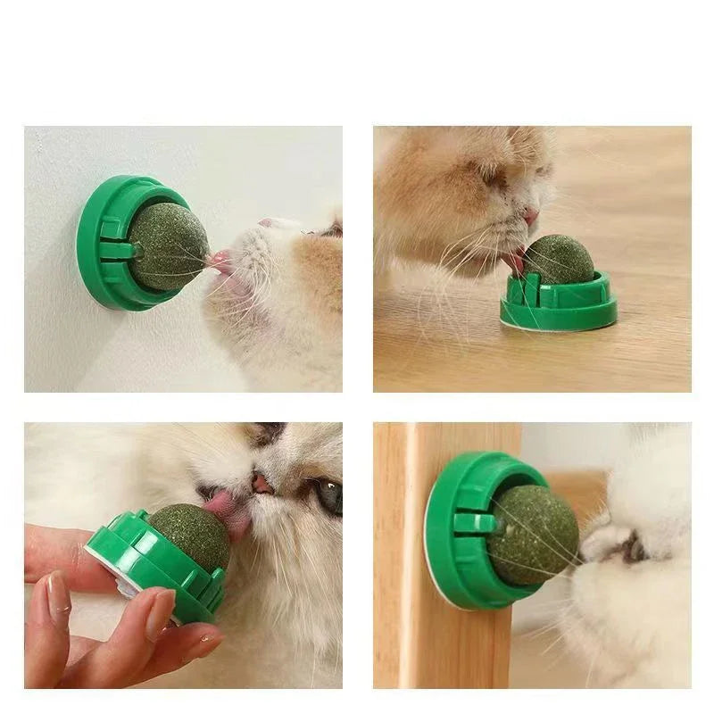 New Cat Mint Toy Rotating Cat Mint Ball Baby Cat Snacks Cat Grass Plant Hair Transformation Cat Pet Products Catnip