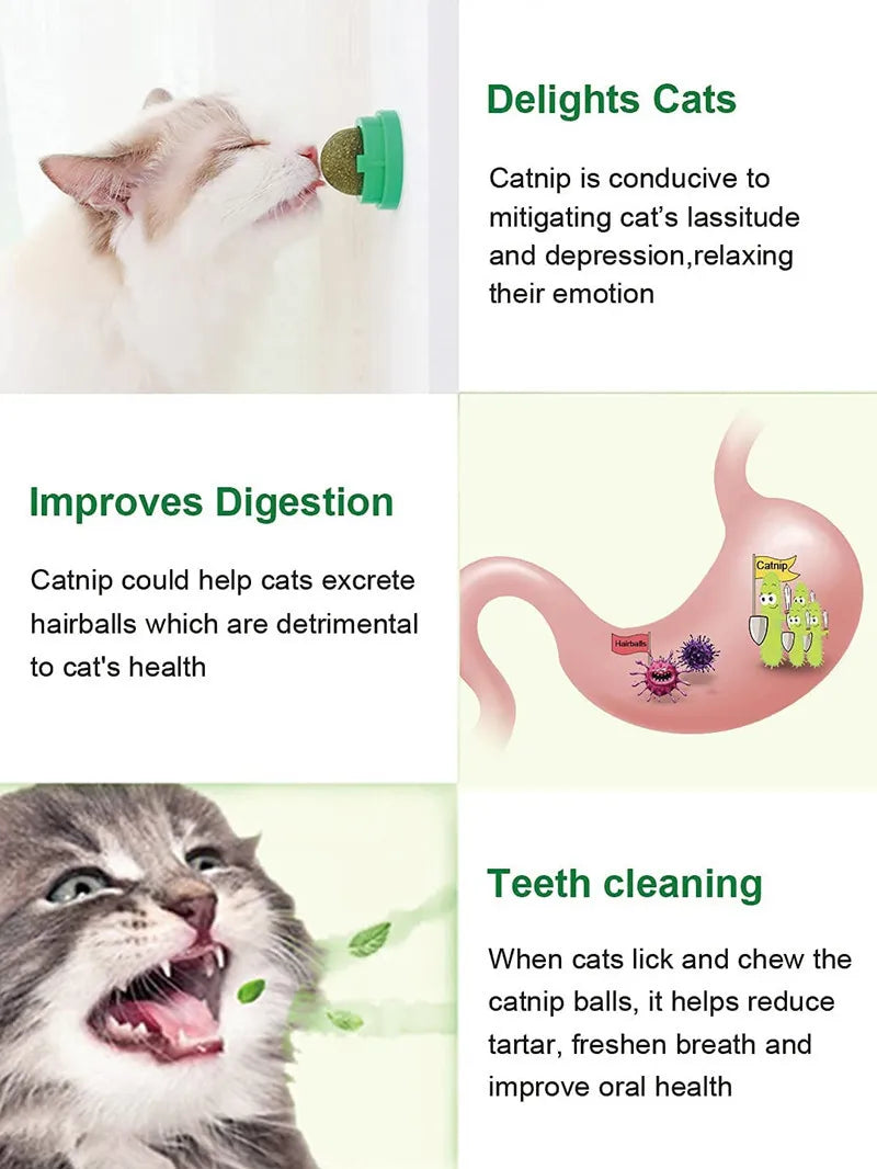 New Cat Mint Toy Rotating Cat Mint Ball Baby Cat Snacks Cat Grass Plant Hair Transformation Cat Pet Products Catnip