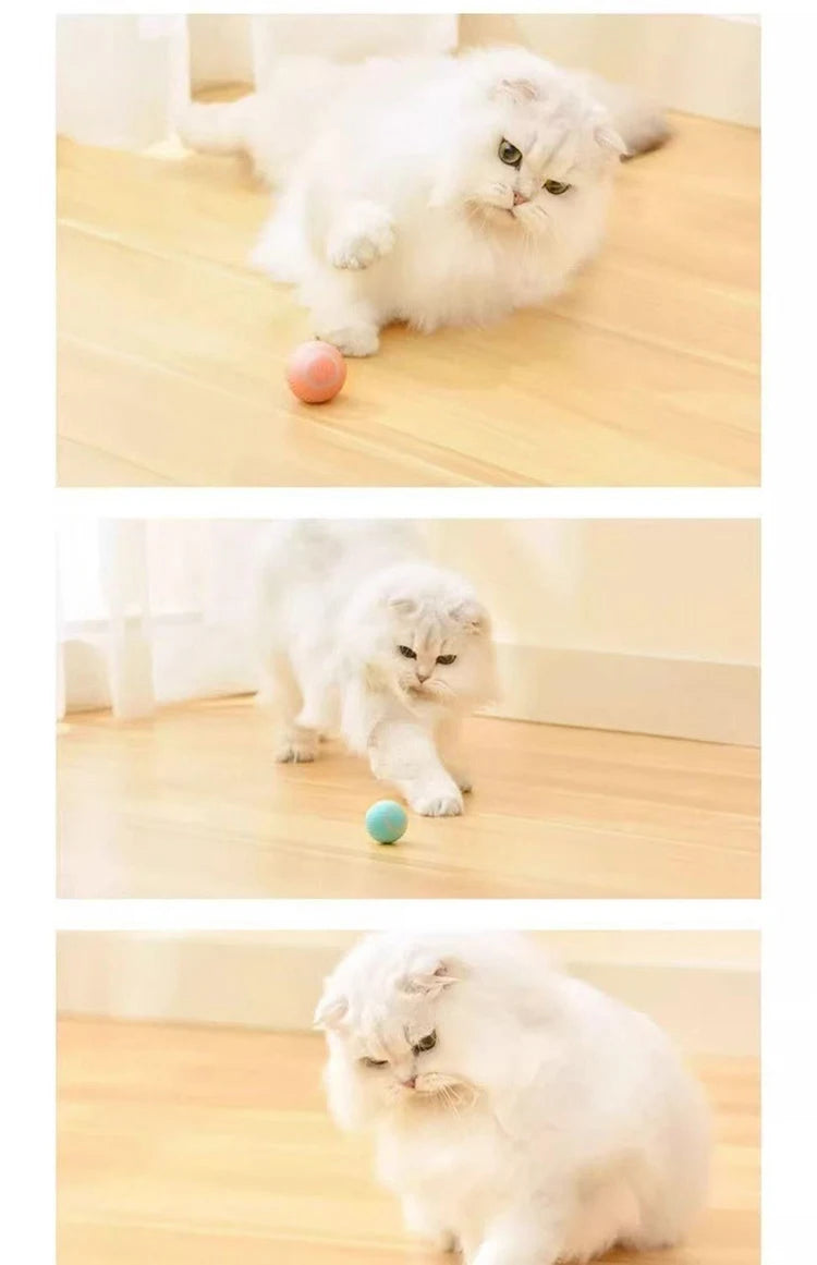 New Interactive Cat Ball Automatic Indoor Cat Toy Electric Roll Ball Cat Games MWJ01