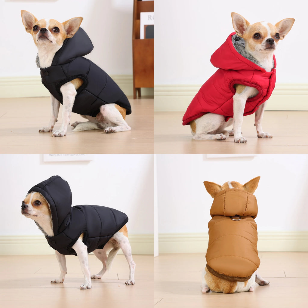 Waterproof Pet Cat Hoodie Jacket For Small Medium Cats Winter Warm Fleece Kitten Costume with D-ring Sphynx Coat Pug Clothes