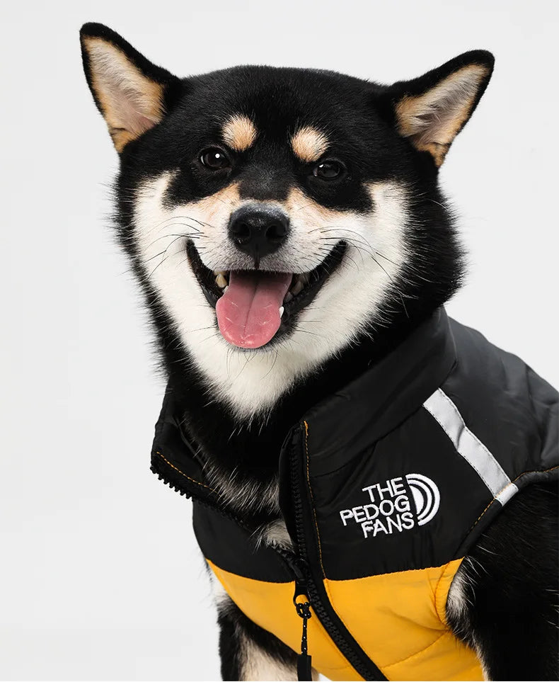 Medium and large dog clothes in autumn and winter, keep warm and thick dog cotton-padded clothes can pull pet clothing